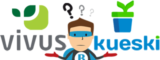 Comparativa de los préstamos en línea de Kueski y Vivus